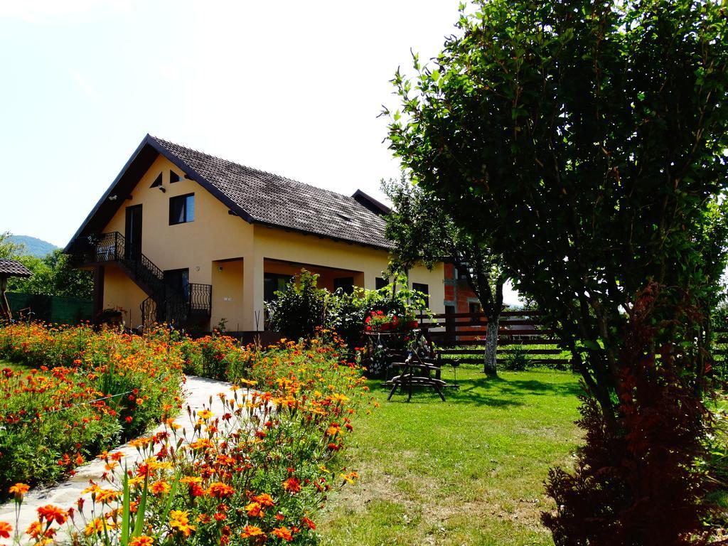 Pensiunea Casa Maria Corbeni Exterior foto